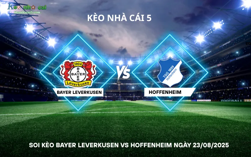Soi kèo Bayer Leverkusen vs Hoffenheim